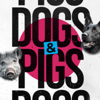 Dogs and Pigs | Ps Chris | Sunday 3 November