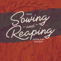 Does Sowing and Reaping Work for Prayer | Ps Chris | Sunday 16 February