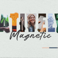 Creatively Magnetic - Week 4 | Ashlee | Sunday 31 August