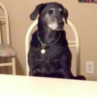 Blackmail, Panties and Sex, Oh My!!