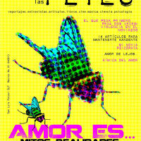 RELACIONES POR INTERNET