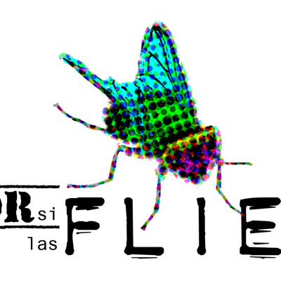 Por Si Las Flies