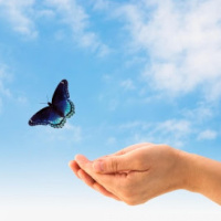 Marilo López Garrido La voz de la noche: Soltar lo viejo