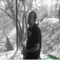 La consciencia en el mundo