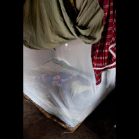 Football, fashion, fruit and fishing: 101 uses for a net