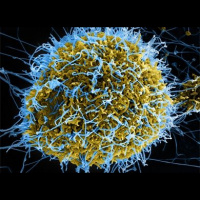 Ebola outbreak: There was a sense of panic, chaos and fear.