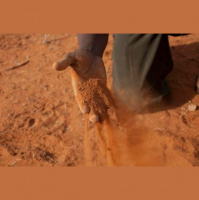 East Africa food crisis appeal: Update