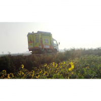 What do you get if you take some cows, some houses and a big yellow truck?