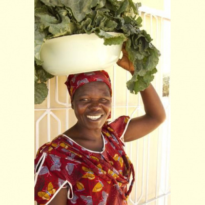 Christian Aid Global