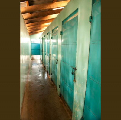 Christian Aid Global