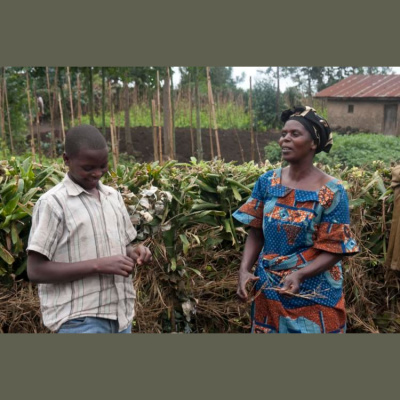 Christian Aid Global