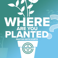 Where Are You Planted? (4/14/24)