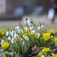 Wararka maanta iyo Sweden