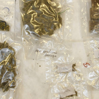 Wararka maanta ee raadiyaha Sweden