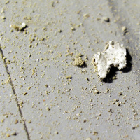 Wararka maanta ee Raadiya Iswiidhen