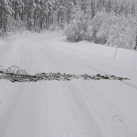 Wararka maanta ee Raadiyaha Iswiidhen