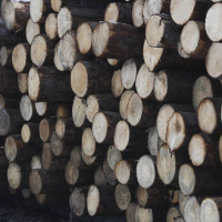 Wararka maanta iyo Sweden