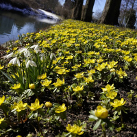 Wararka maanta iyo Sweden