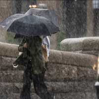 Wararka maanta iyo Sweden