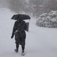 Wararka maanta ee Raadiyaha Iswiidhen.