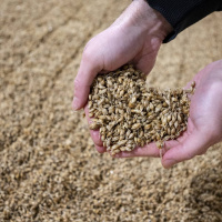 Wararka maanta ee Raadiyaha Iswiidhen