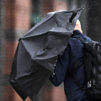 Wararka maanta iyo Sweden