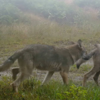 Wararkii maanta ee Raadiyaha Iswiidhen