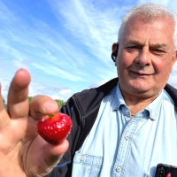 Wararka maanta ee Raadiyaha Iswiidhen