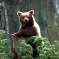 Wararka maanta iyo Sweden