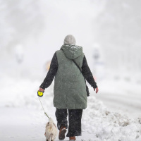 Wararka maanta iyo Sweden