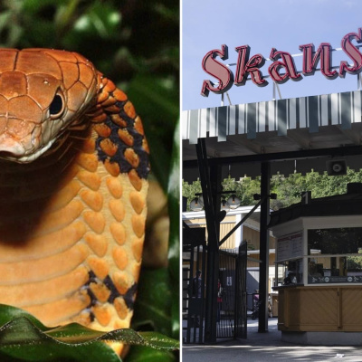 Radio Sweden Somali - Raadiyaha Iswiidhen