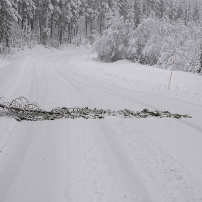 Radio Sweden Somali - Raadiyaha Iswiidhen