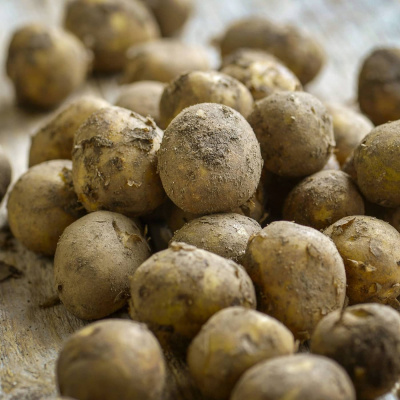 Radio Sweden Somali - Raadiyaha Iswiidhen