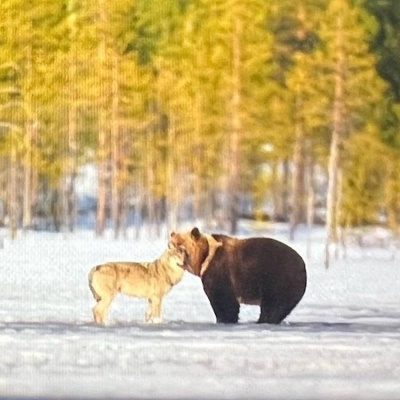 Radio Sweden Somali - Raadiyaha Iswiidhen