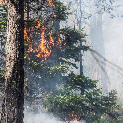 Radio Sweden Somali - Raadiyaha Iswiidhen