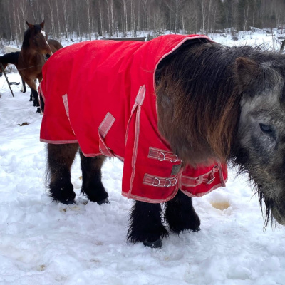 Radio Sweden Somali - Raadiyaha Iswiidhen