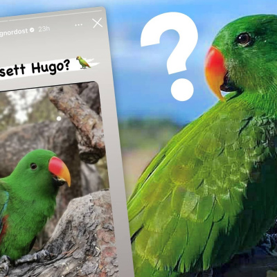 Radio Sweden Somali - Raadiyaha Iswiidhen