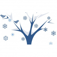 From Heaven to Earth