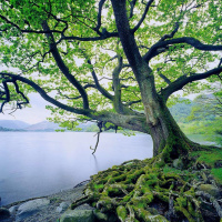 A few #wowGod stories