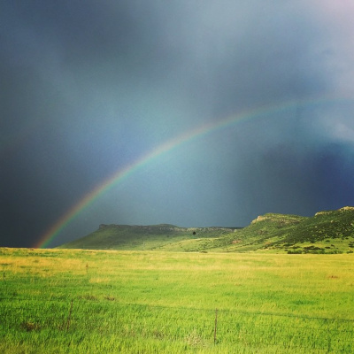 Life With Lisa Williams