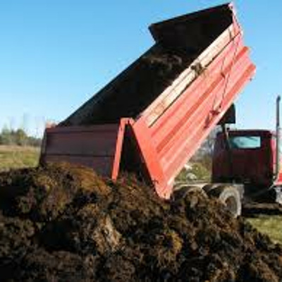 Life With Lisa Williams