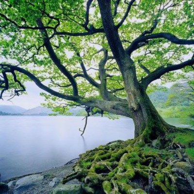 Life With Lisa Williams