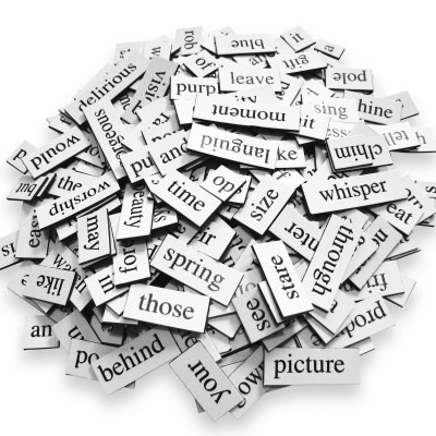 Life With Lisa Williams