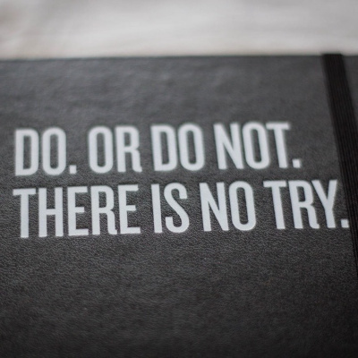 Life With Lisa Williams