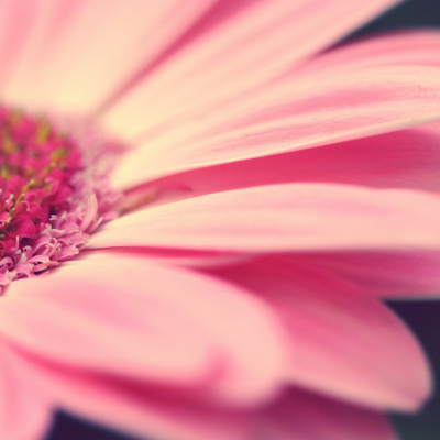 Life With Lisa Williams