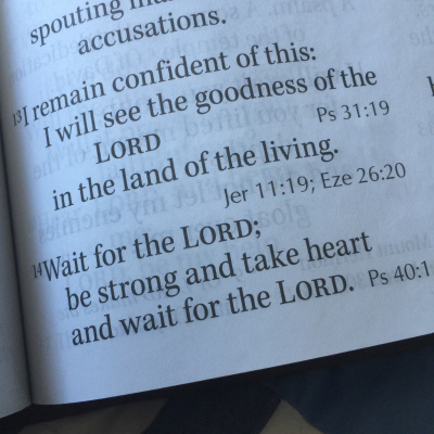 Life With Lisa Williams