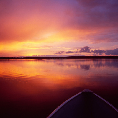 Life With Lisa Williams