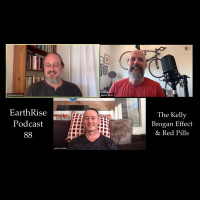 88: The Kelly Brogan Effect  Red Pills (with Matthew Remski and Julian Walker)