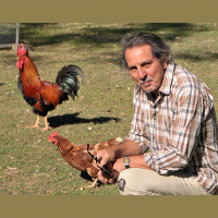 70: The Emotional Impact of Climate Change (with Glenn Albrecht)