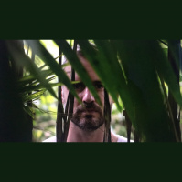 81: The Key to Resilience (with Scott Carney)